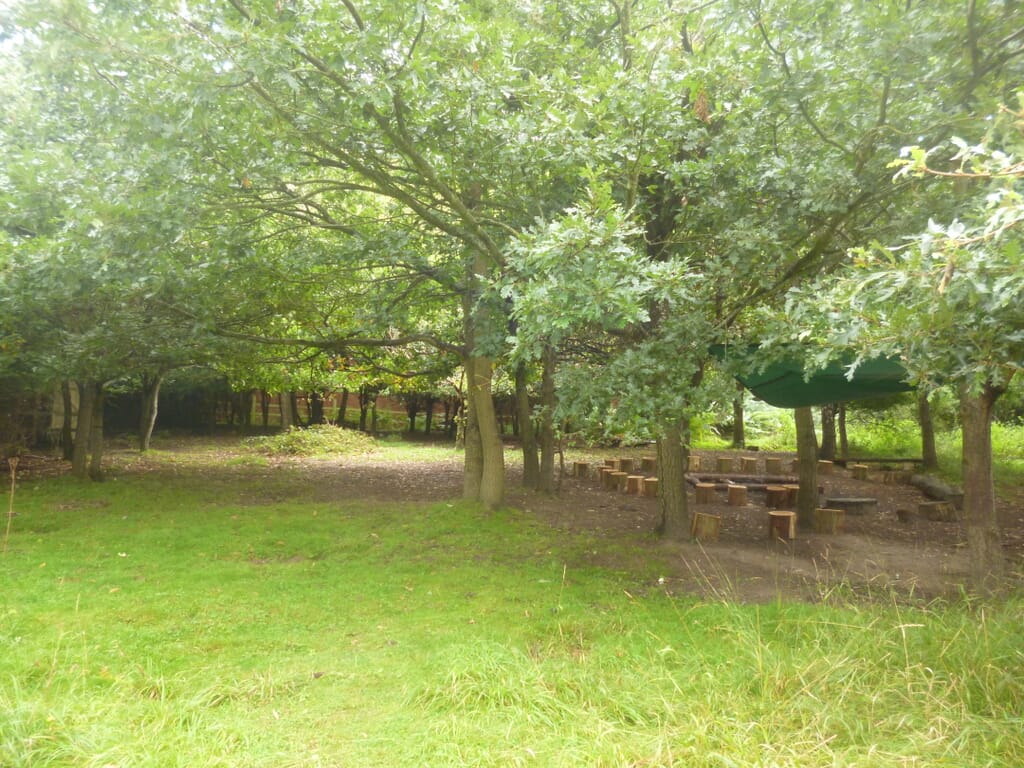 Woodland outside the nursery