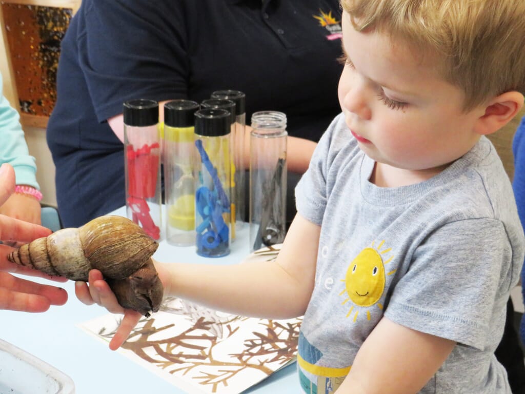 Nursery child holding snail
