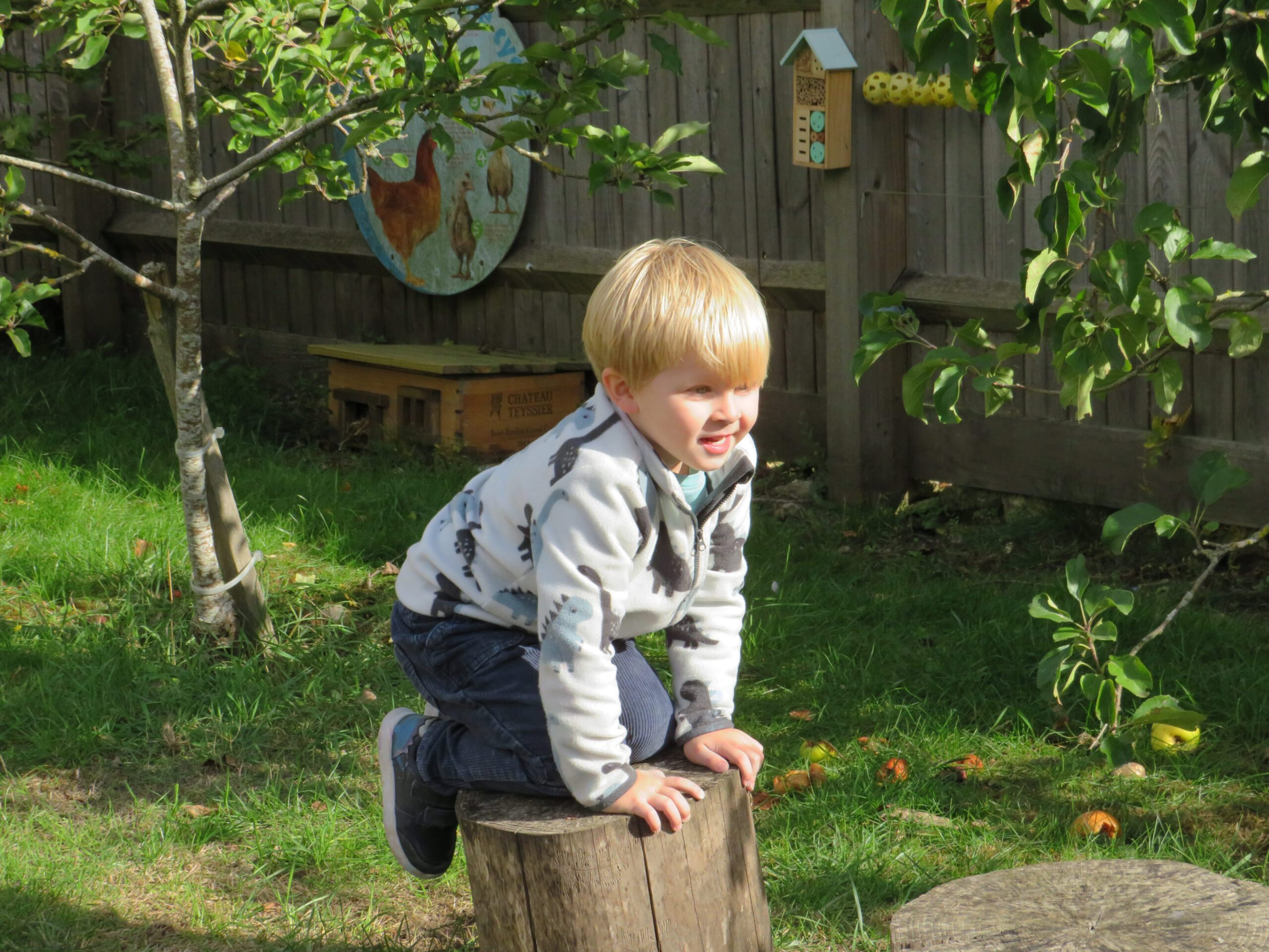 Child climbing a tree stump at Forest School