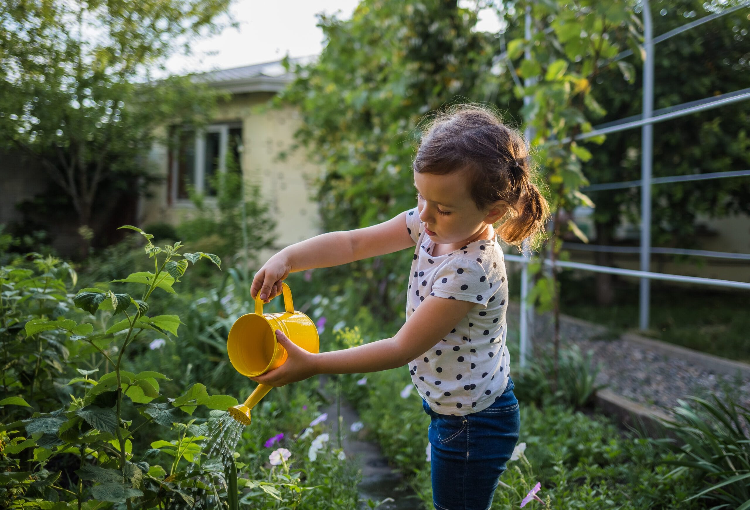 Child watering crops with a watering can