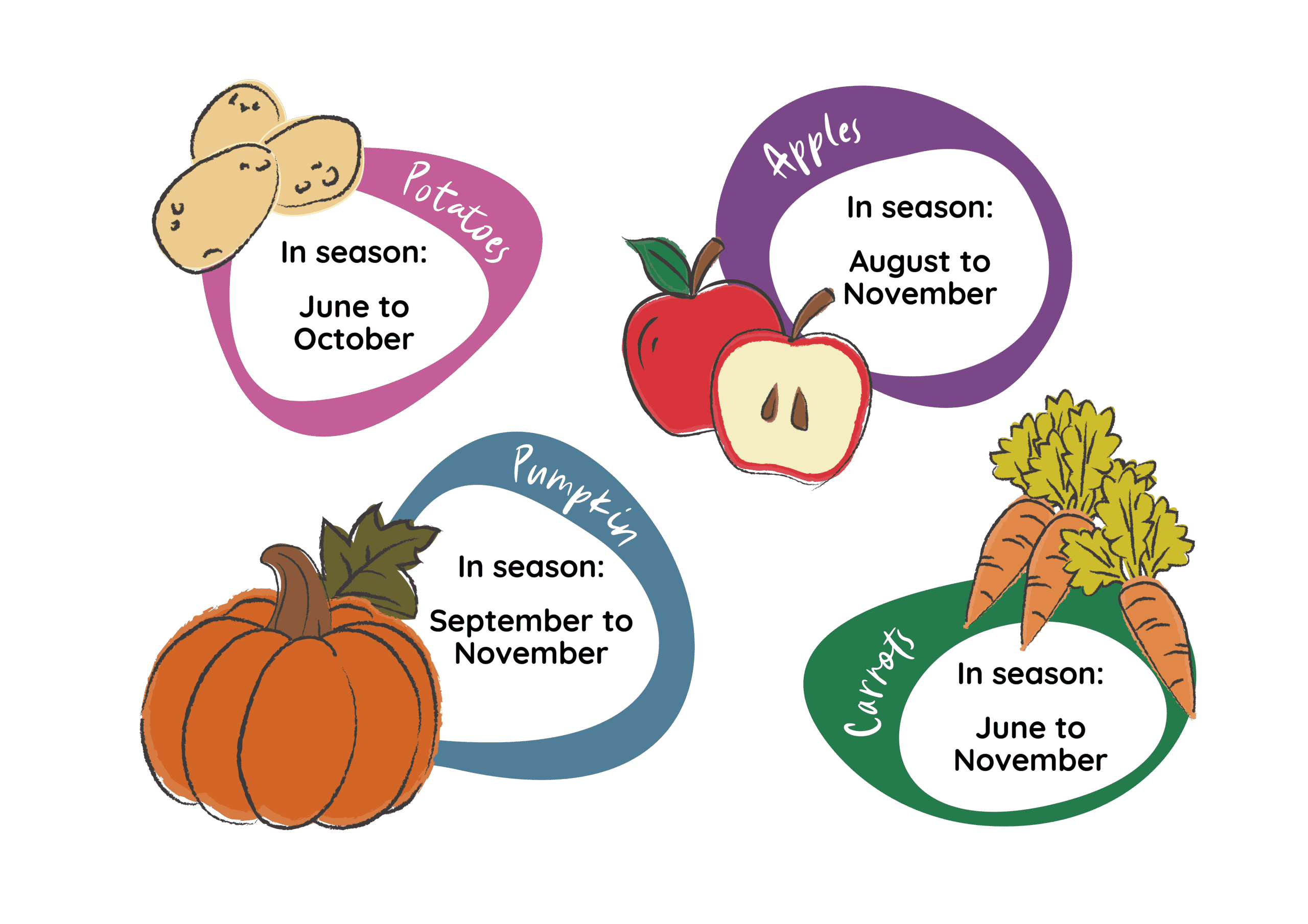 Seasonal_veggies_illustration