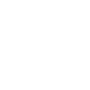 Success icon